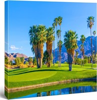 Palm Springs Golf Canvas Art  24x24  FRAMED