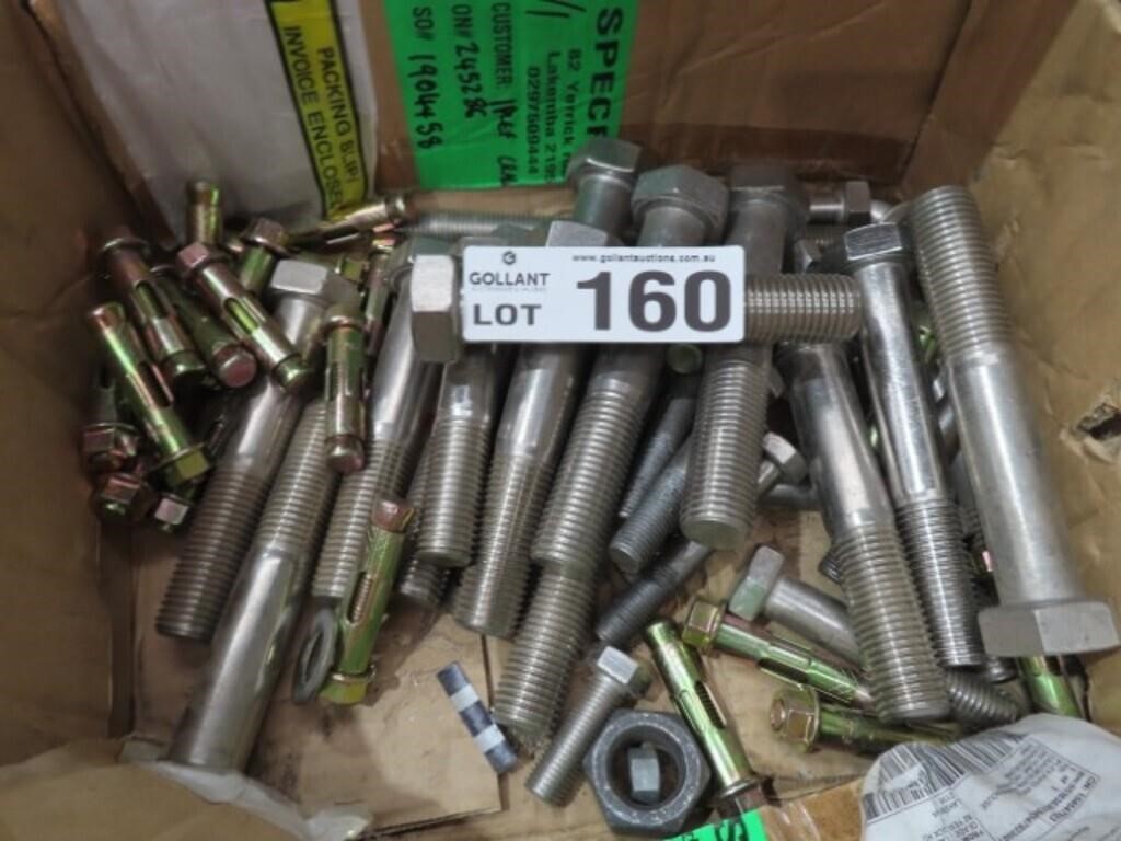 Qty of S/S 150mm Bolts & Dyna Bolts