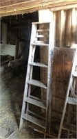 Werner 6’ Tall Wooden Ladder