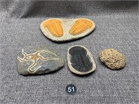Rocks/Fossils/Etc