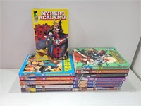 (13) My Hero Academia Anime Books