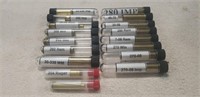 (17) Assorted EMPTY BRASS (Individually Labeled)