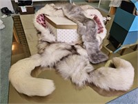 Mr. Roberts NY Fur Scarf & Pelt