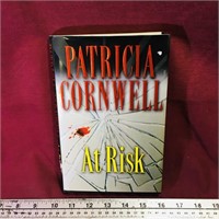 At Risk 2006 Novel