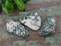 TREE AGATE ROCK STONE LAPIDARY SPECIMEN