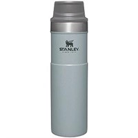 Stanley Silver 20 Oz Travel Mug