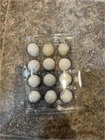 1 Dozen-Hatching Eggs-Gambels Quail