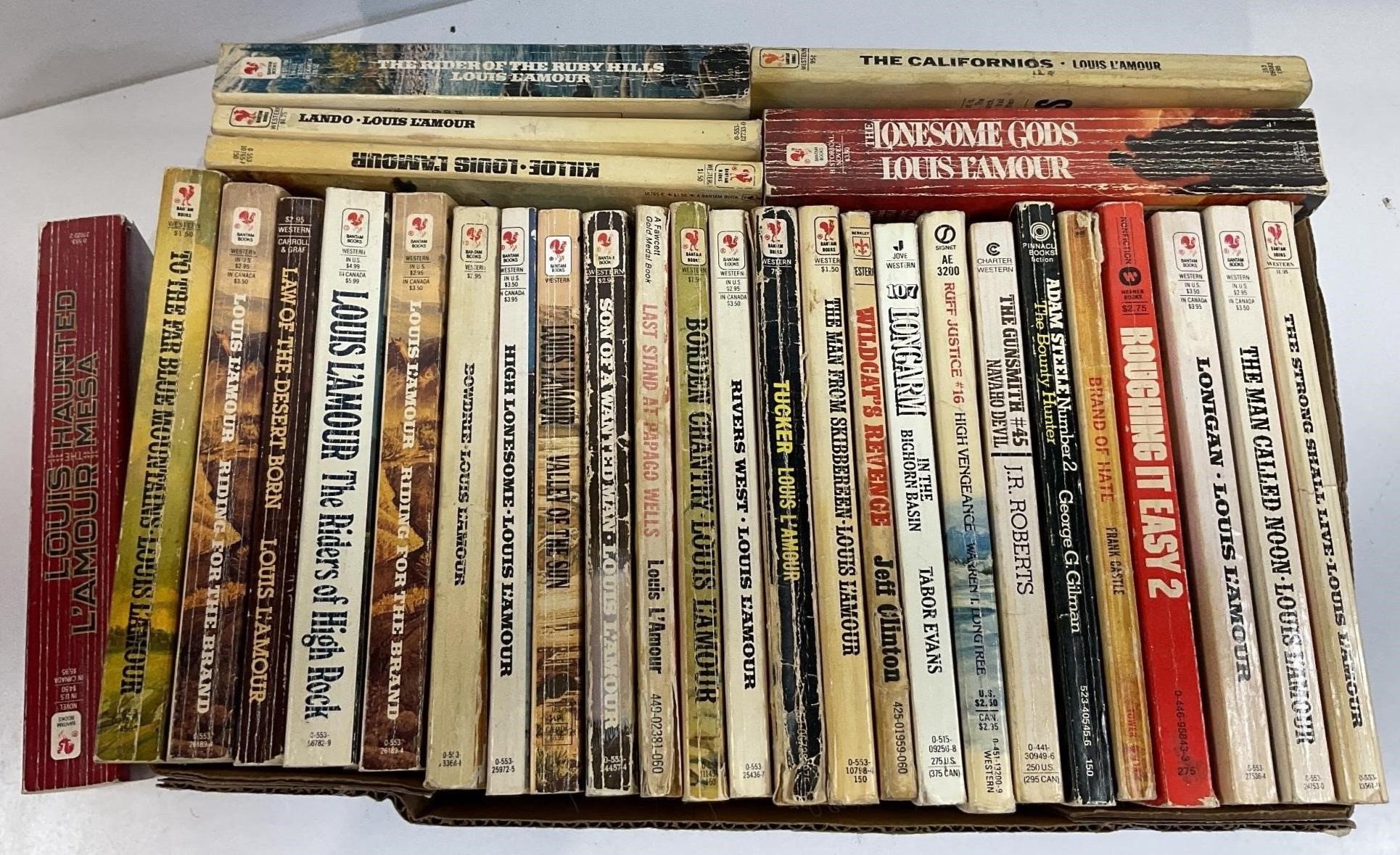 Lot of paperback books