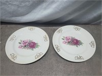 Pr. Collector plates