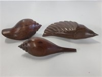 3 Iron Wood Sea Shells