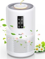 Air Purifiers for Home Large Room with Night