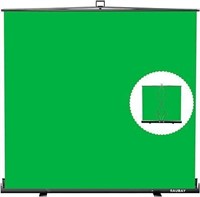 RAUBAY Retractable Pull Down Green Screen