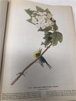 1946 the birds of America John Audubon book