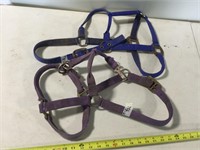 Halters - Horse Size