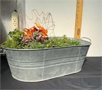 Succulents in galvanized bucket