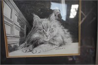 Cat / Pencil Drawing / K,Richards