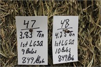 Hay-Lg.squares-1st-10Bales