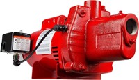 Red Lion RJS-100-PREM 1 HP, 23 GPM, 115/230 Volt,