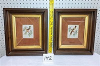 pr. bird feather pictures in nice frames