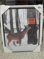 16x 20 NIP Framed Deer Poster Print