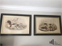 Pair of Duck Prints