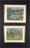 Pair of framed original paintings