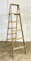 6 FT Werner Wooden Ladder