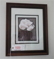Framed print of white Rose 18” x 22”