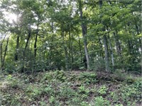 Tract 2 - 1+/- Acre Lot
