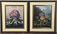 Two Framed Botanical Prints