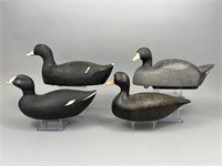 4 Coot Decoys