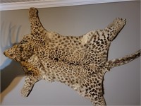 LEOPARD SKIN RUG - CONDITION ISSUES