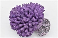 Piece of Purple Coral
