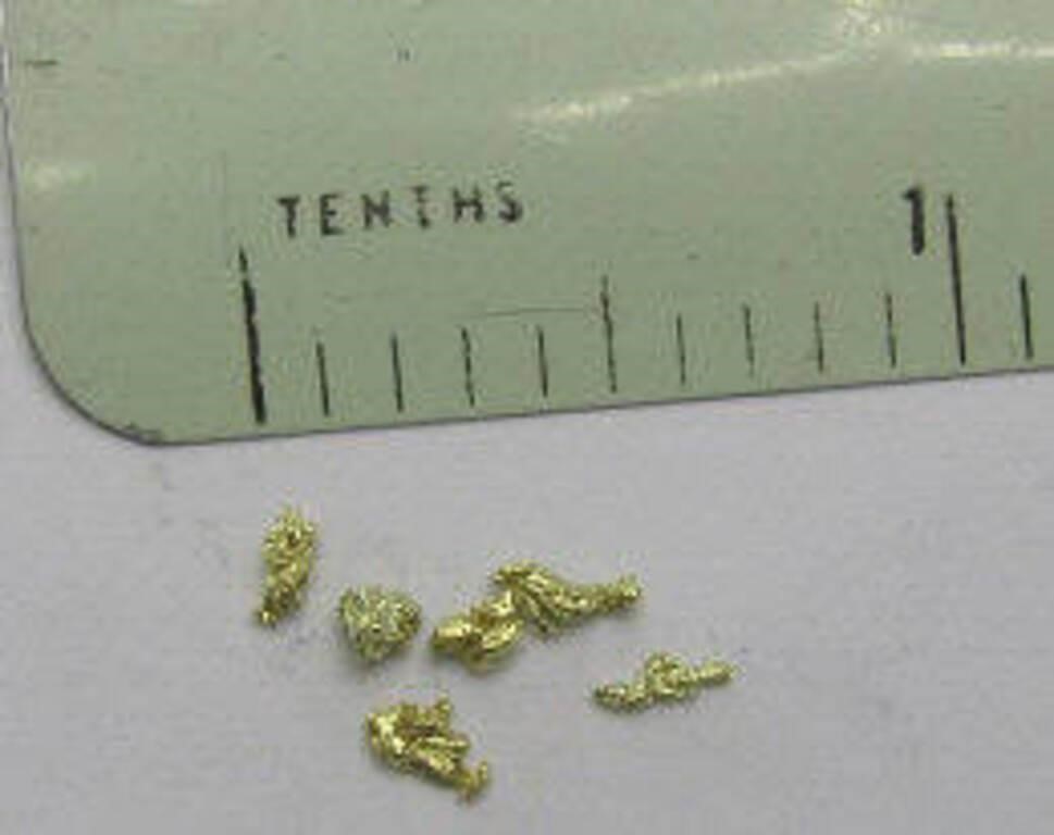 .39 Grams Alaskan Gold Nuggets