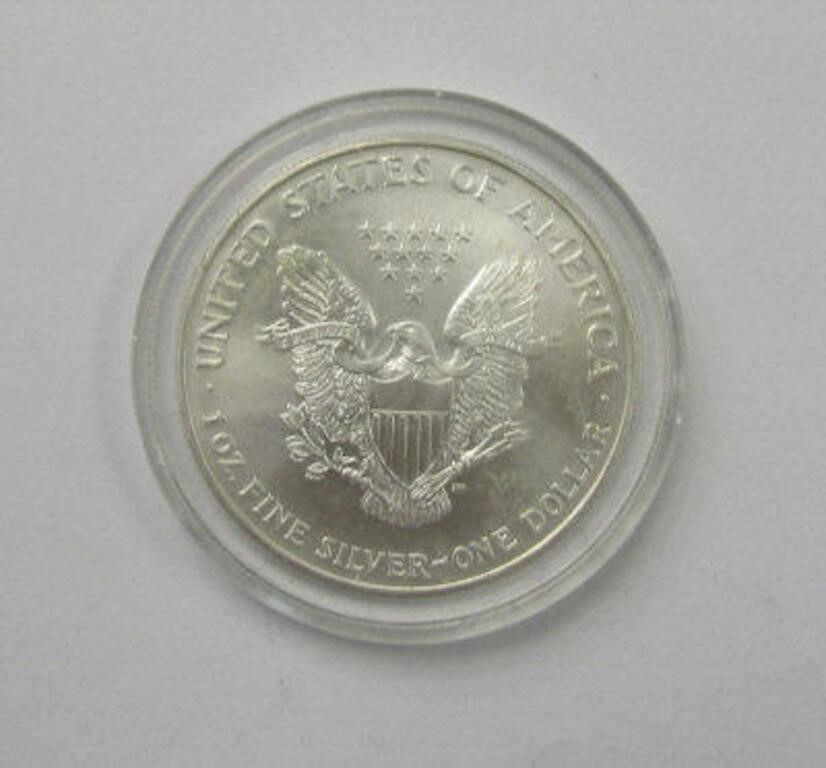 1999 - 1oz Silver Eagle Painted Coin