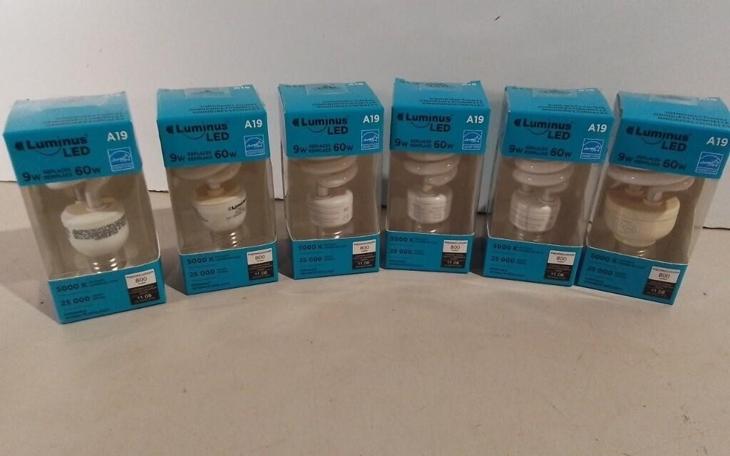 Six Luminous LED Lightbulbs