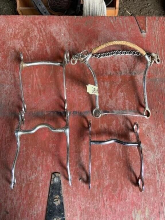 3 Curved Bits & 1 Working Hackamore