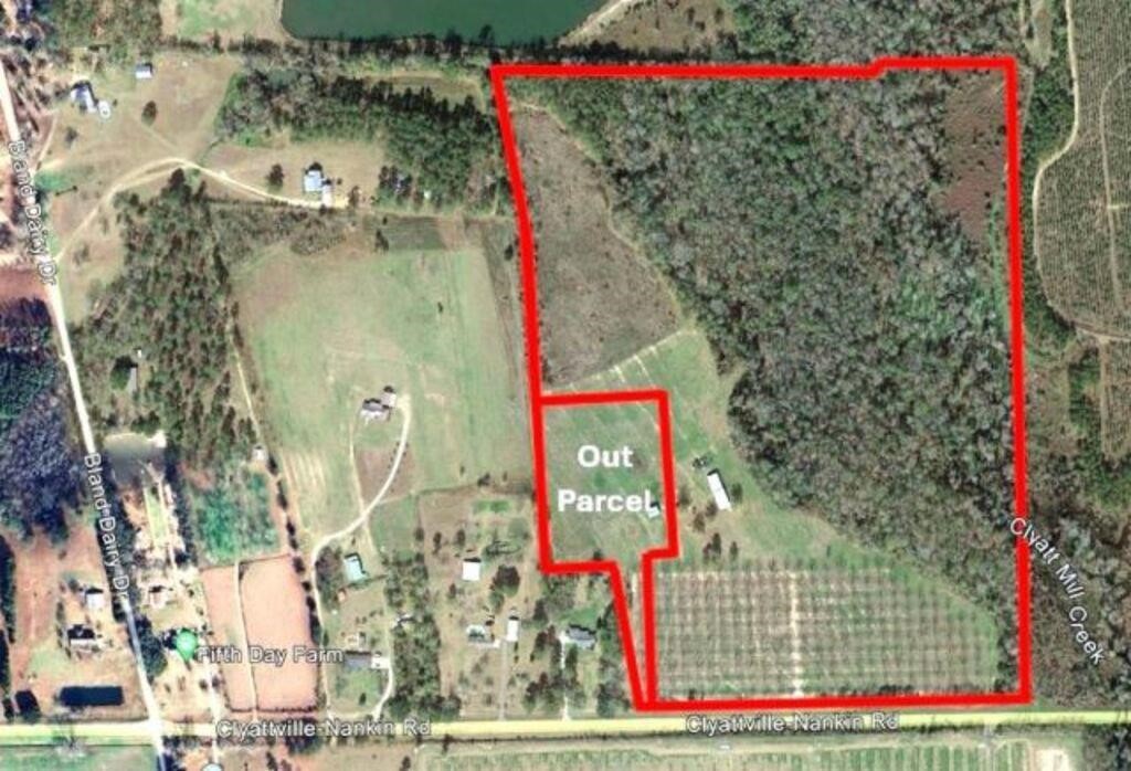 Lowndes County GA Online Only Land Auction