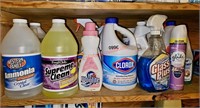 Cleaning Chemicals on this Shelf