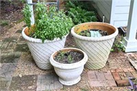 Large Outdoor Planters w/ Plants - Foam