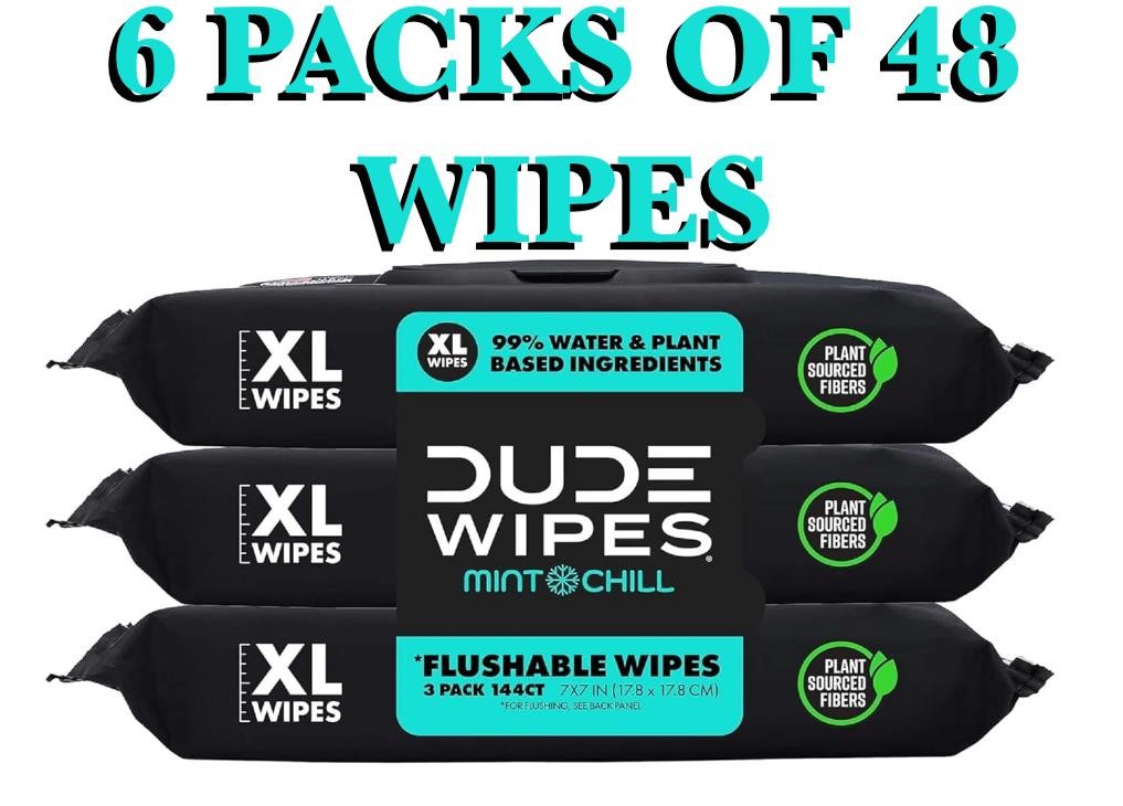 DUDE Wipes - Flushable Wipes - 6 Pack, 288 Wipes