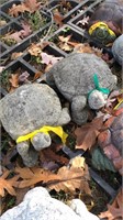 Pair of concrete tortoises, 10” long
