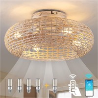 Boho Caged Ceiling Fans with Lights Flush