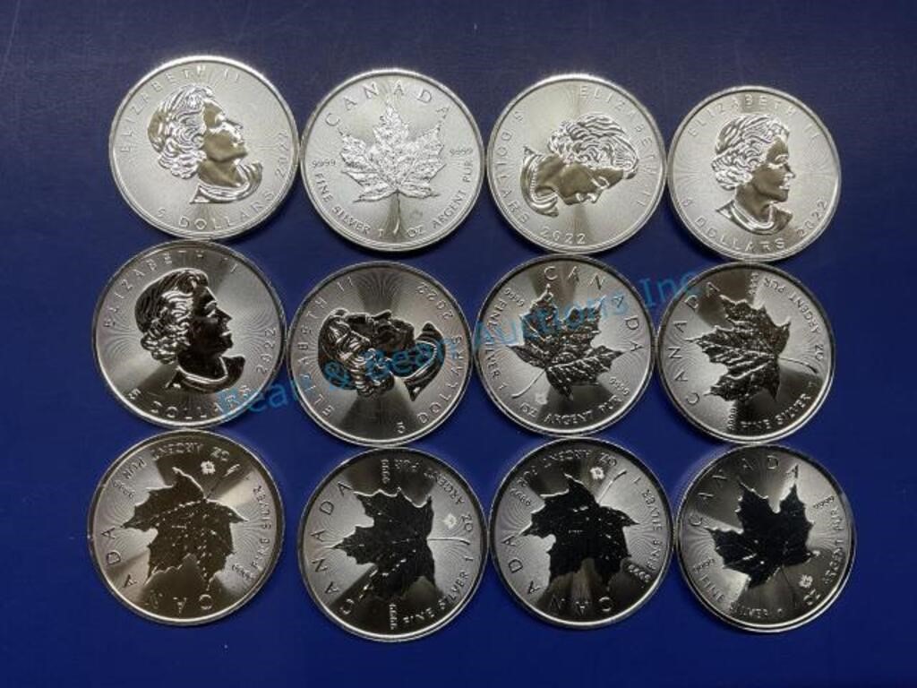 1oz, silver maple leaf