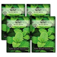 Mint Seeds - Non GMO Heirloom for Indoor/Outdoor H