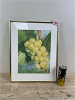 Framed fruit Art