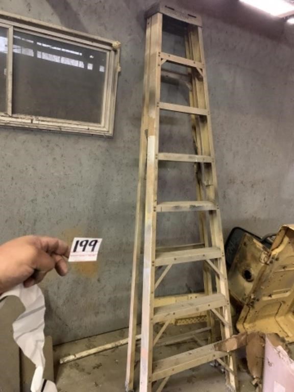 8ft +/- Step Ladder