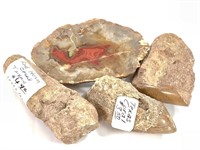 KY Agate & 3 Texas Coral Specimens