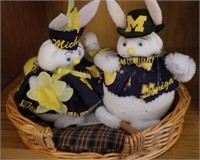 Michigan Bunnies in Basket