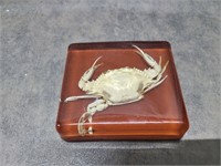 Crab paperweight